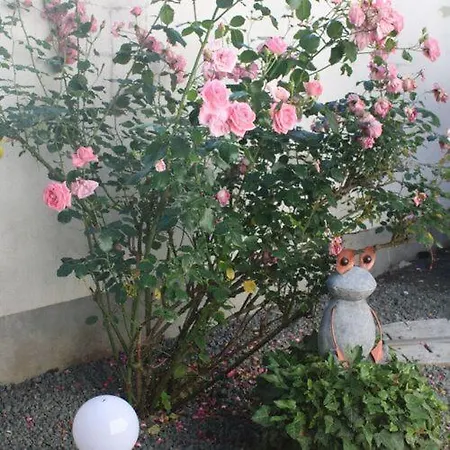 Delibab * バダチョニトマイ